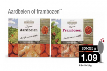 allseasons diepvriesfruit