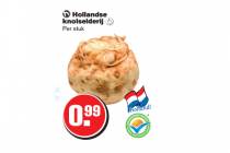 hollandse knolselderij