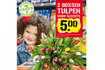 2 bossen tulpen