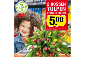 2 bossen tulpen