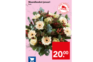 maandboeket januari