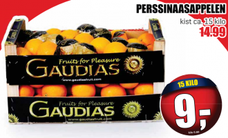 gaudias perssinaasappelen