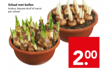 schaal met bollen