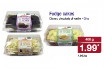 fudge cakes