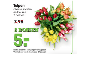 tulpen