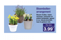 bloembollen arrangement