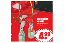 valentijnsvaasjes