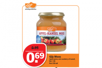 gijs moes