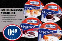 amerikaanse yoghurt