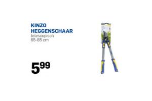 kinzo heggenschaar