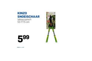 kinzo snoeischaar