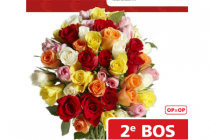 rozen