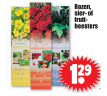 rozen sier  of fruitheesters