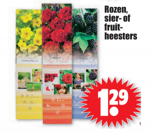 rozen sier  of fruitheesters