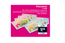 placemats 4 pack