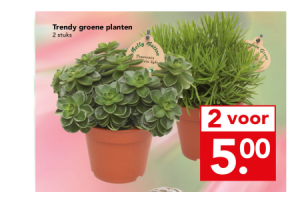 trendy groene planten
