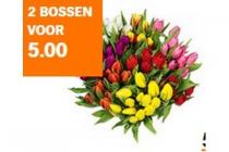 ah tulpen