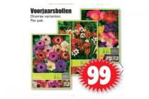 voorjaarsbollen