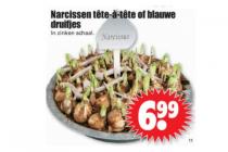 narcissen tete a tete of blauwe druifjes in zinken schaal