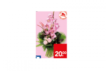deen maandboeket maart