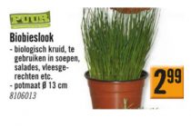 biobieslook