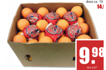 perssinaasappelen ca. 15 kilo