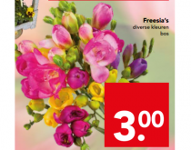 freesias