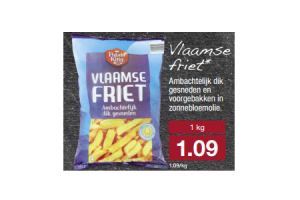 vlaamse friet