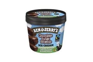 ben  jerrys chocolate fudge brownie mini cup