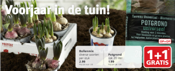 voorjaar in de tuin