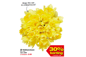 veldnarcissen