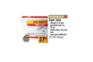 hornbach super latex