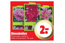 bloembollen