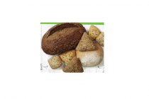 biologisch brood