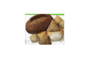 biologisch brood
