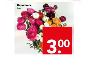 ranonkels