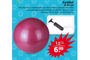 gymbal