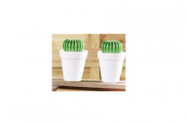 vigar handafwasborstel cactus