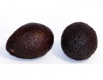 hass avocado 2 stuks