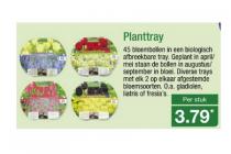 planttray