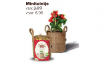 minituintje