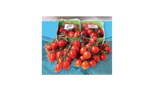 cherry tros of mini san marzano tomaten