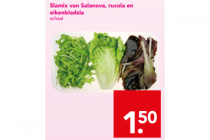 slamix van salanova rucola en eikenbladsla