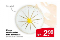 sneeuwster met advocaat