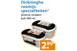 dickninghe roomijsspecialiteiten