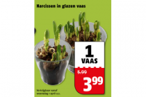 narcissen in vaas