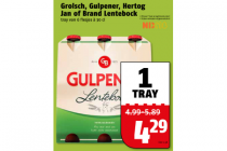bier tray 6 flesjes
