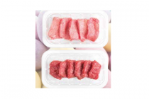 deen gourmet minis vlees vis of vegetarisch