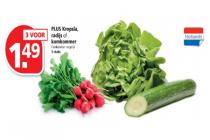 plus kropsla radijs of komkommer