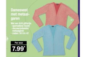 damesvestmet metaalgaren